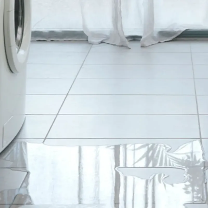 Appliance Leak Cleanup in Sanibel, FL